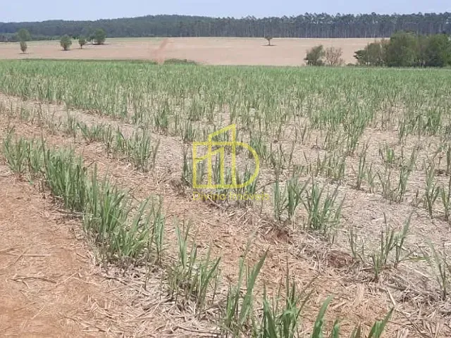 Fazenda com 1936000m², à venda, no bairro Guarapó em Quadra