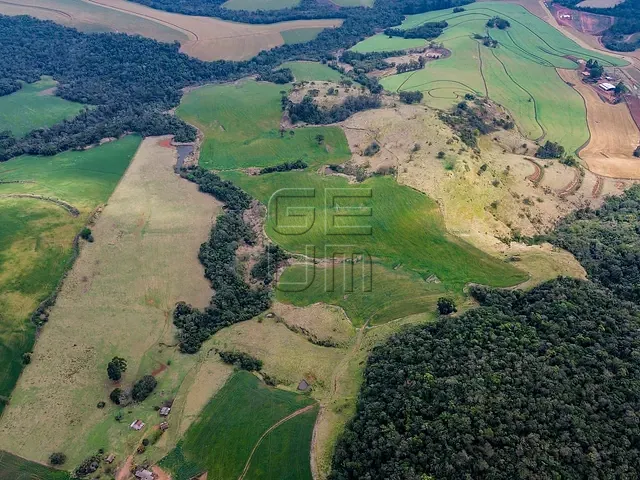 Fazenda com 2347884m² 3 quartos e 2 banheiros, à venda, no bairro Rural em Tamarana