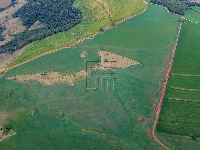 Fazenda com 2347884m² 3 quartos e 2 banheiros, à venda, no bairro Rural em Tamarana