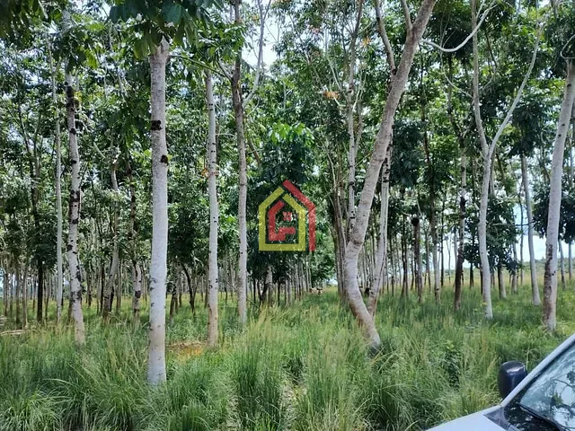 Fazenda com 4065600m², à venda, no bairro Zona Rural em Marabá