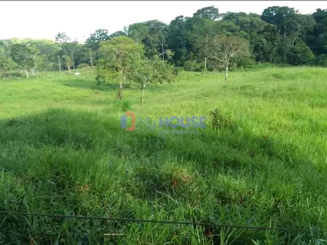 Fazenda com 710000m² 8 quartos e 5 banheiros, à venda, no bairro Zona rural em Barro Preto