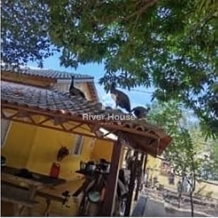 Fazenda à venda, 10m² - Foto 14
