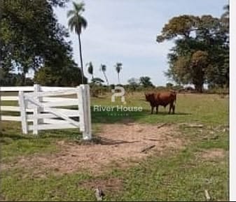 Fazenda à venda, 10m² - Foto 15