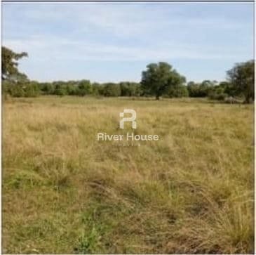 Fazenda à venda, 10m² - Foto 5