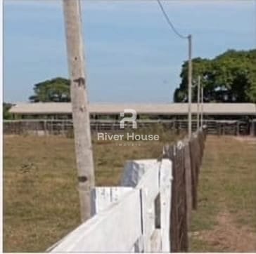 Fazenda à venda, 10m² - Foto 7