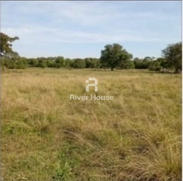 Fazenda à venda, 10m² - Foto 9