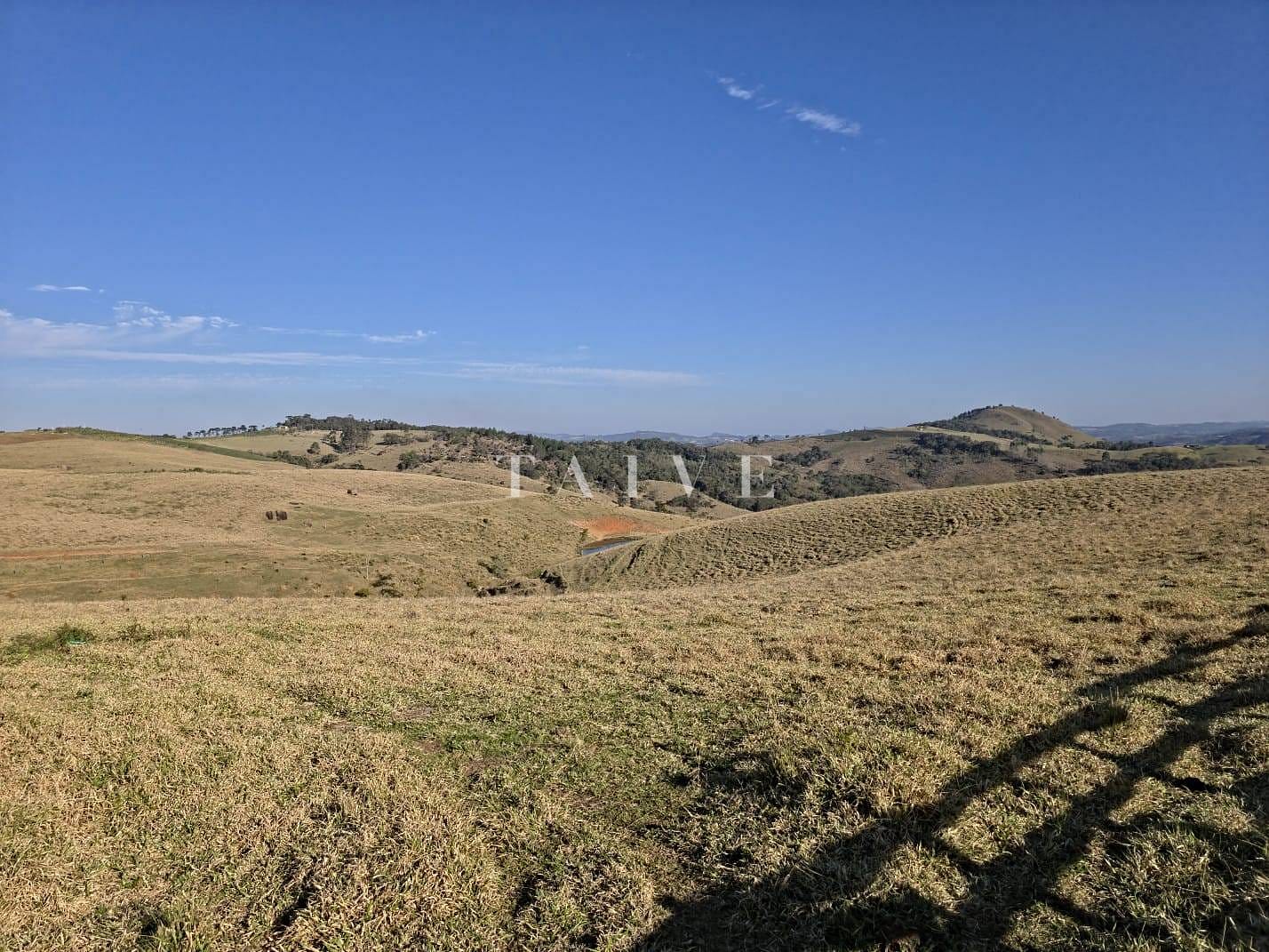 Fazenda à venda, 10m² - Foto 15