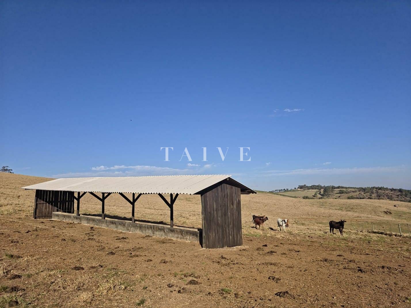 Fazenda à venda, 10m² - Foto 7