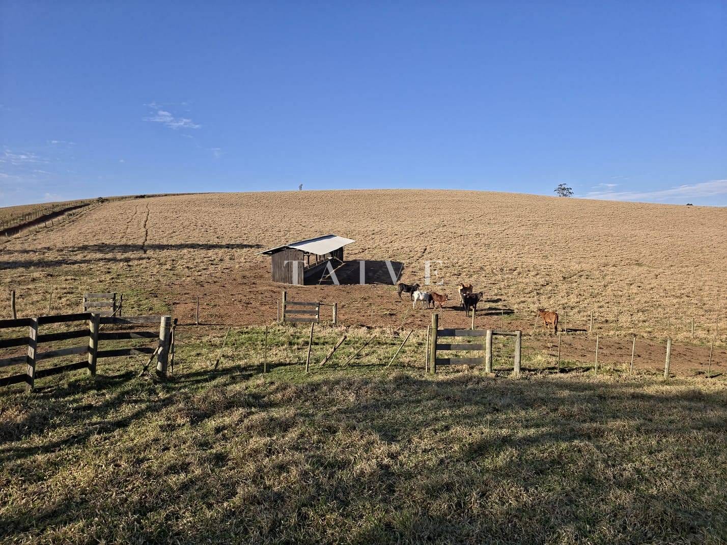 Fazenda à venda, 10m² - Foto 5