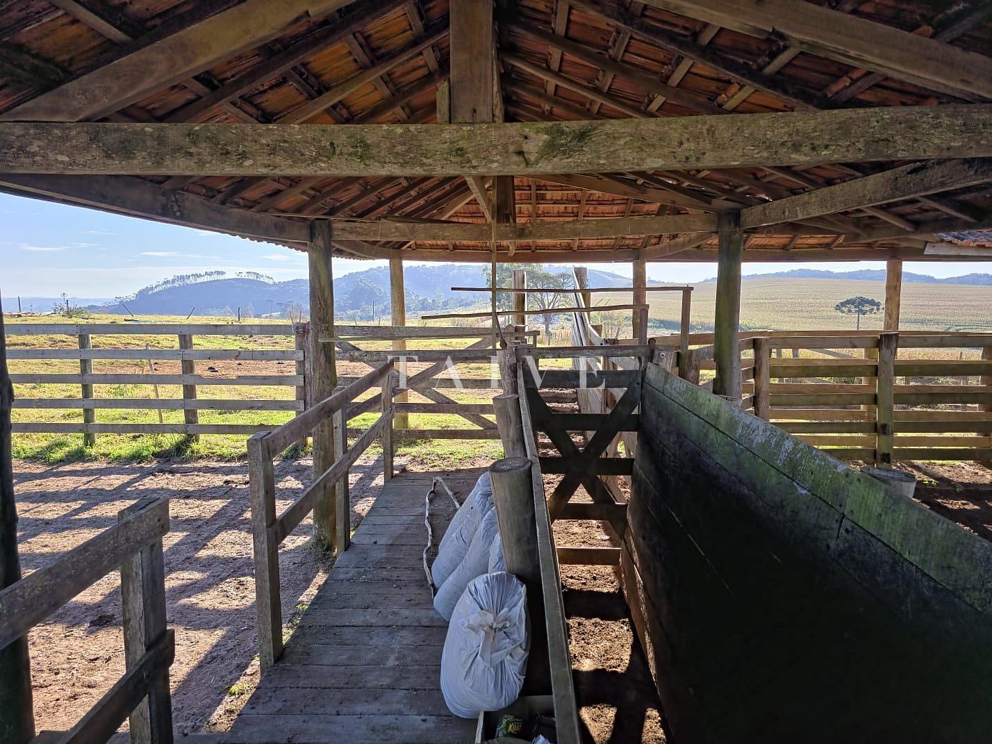 Fazenda à venda, 10m² - Foto 6