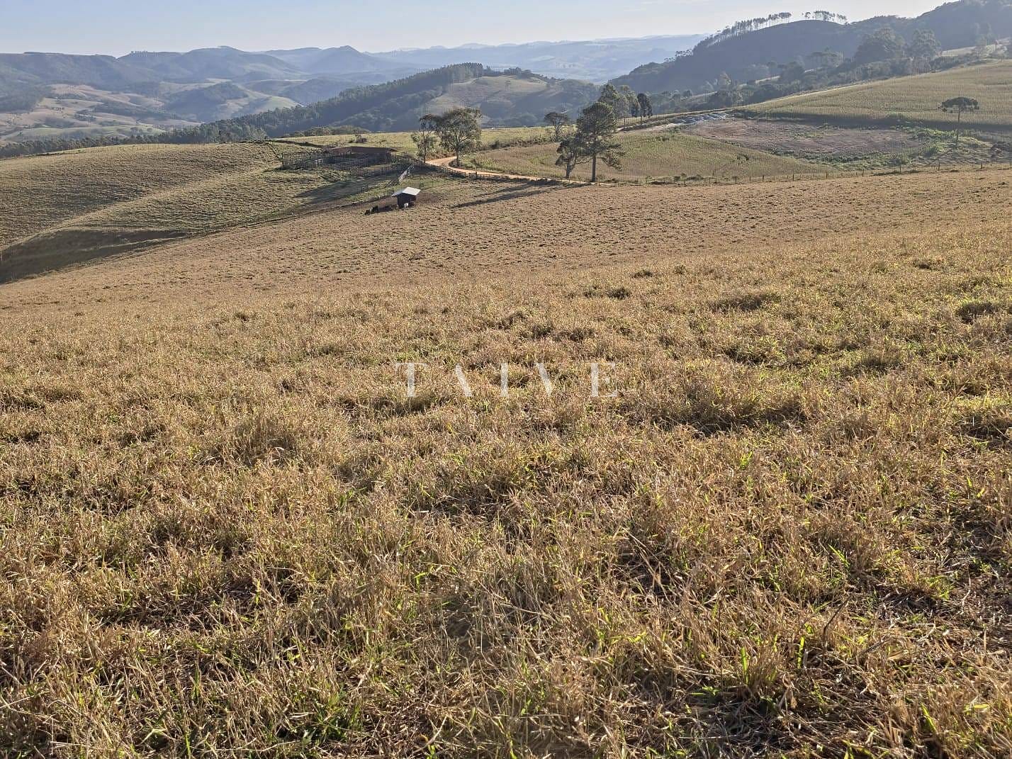Fazenda à venda, 10m² - Foto 16