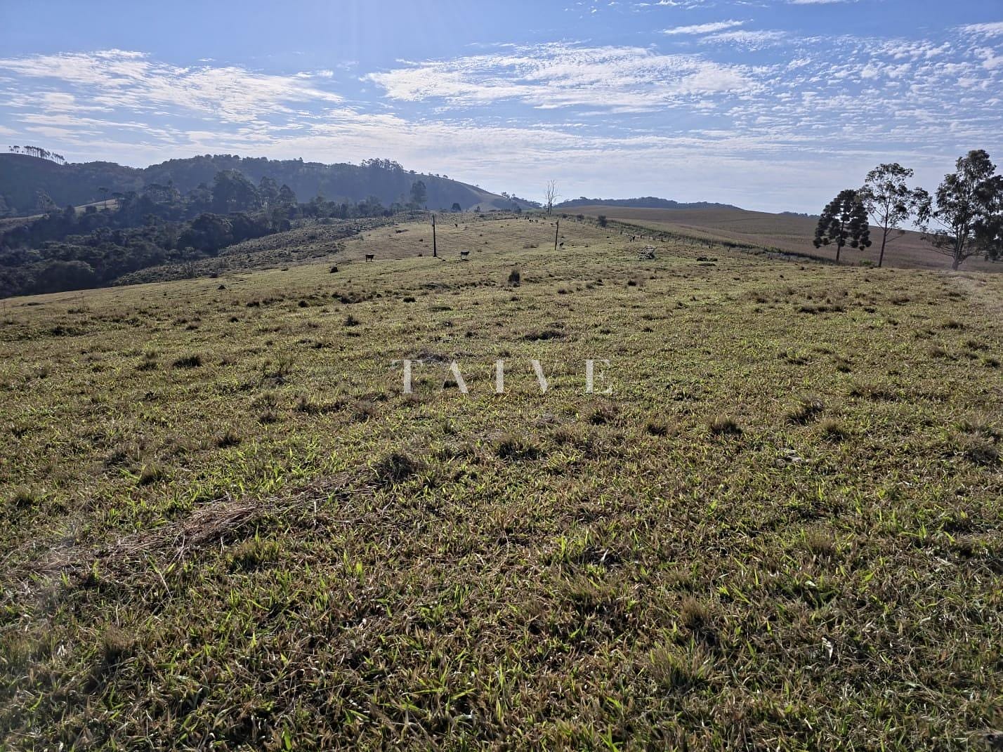 Fazenda à venda, 10m² - Foto 13
