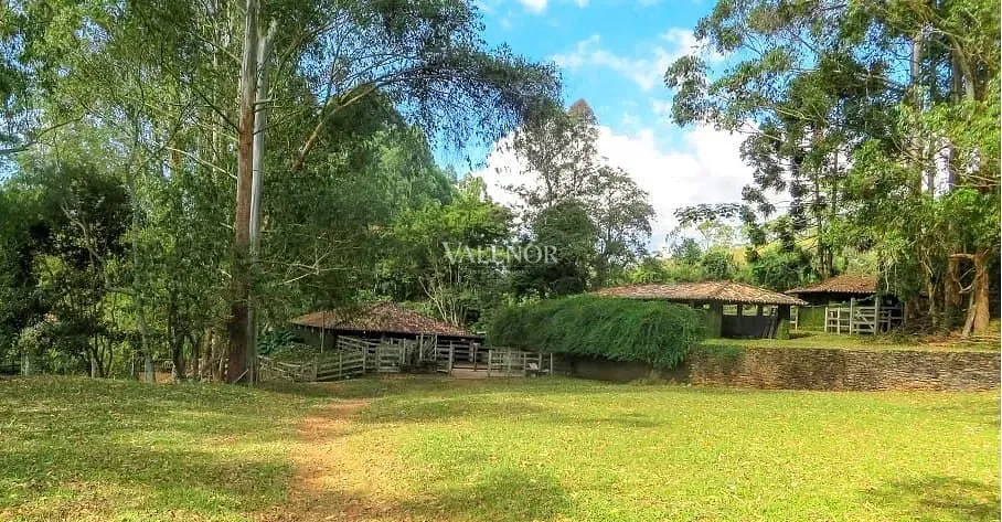 Fazenda, 235 hectares - Foto 11