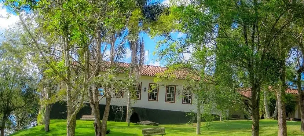 Fazenda, 235 hectares - Foto 2
