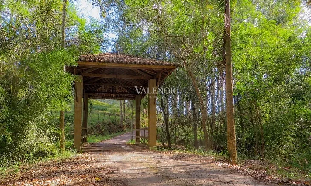 Fazenda, 235 hectares - Foto 28