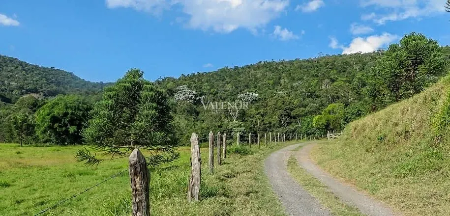 Fazenda, 235 hectares - Foto 21