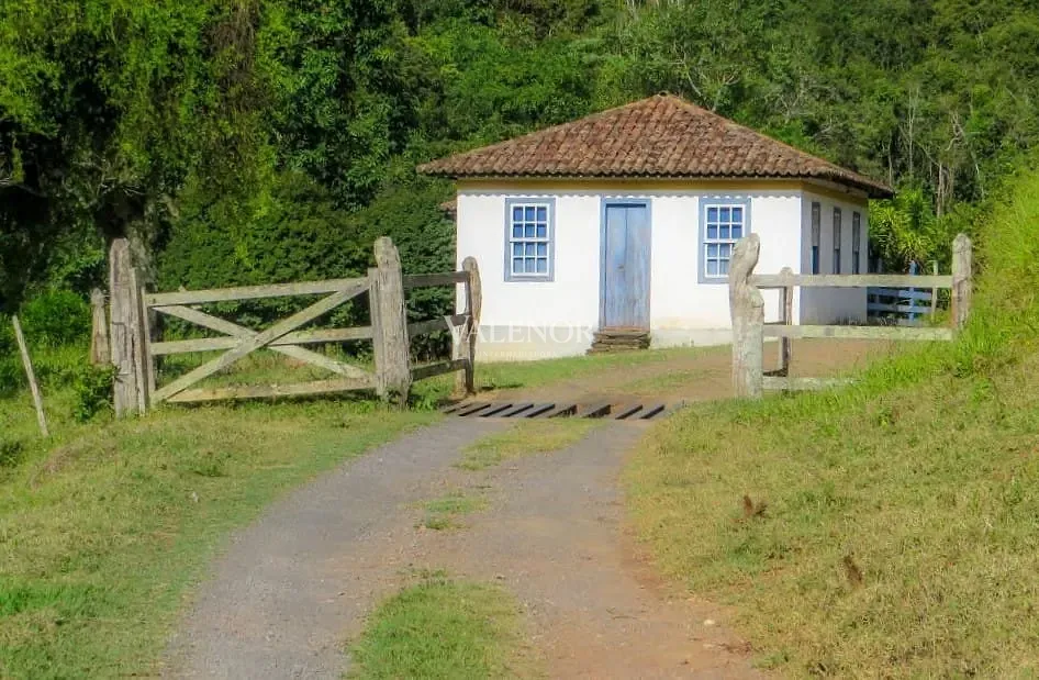Fazenda, 235 hectares - Foto 23