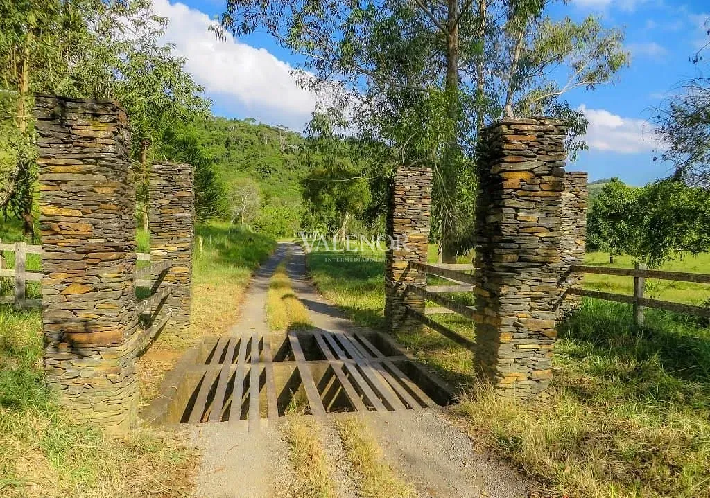 Fazenda, 235 hectares - Foto 22