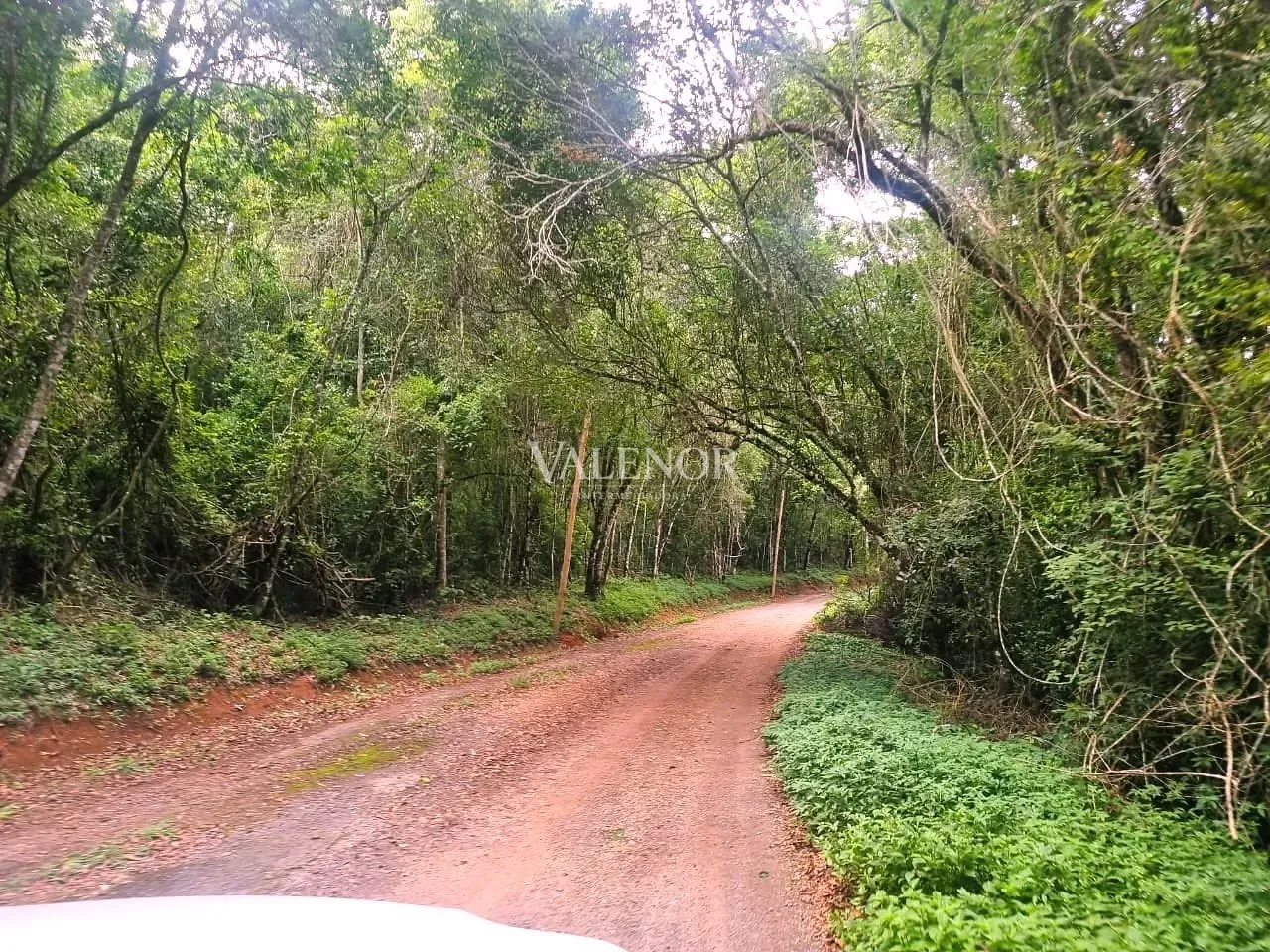 Fazenda, 235 hectares - Foto 24