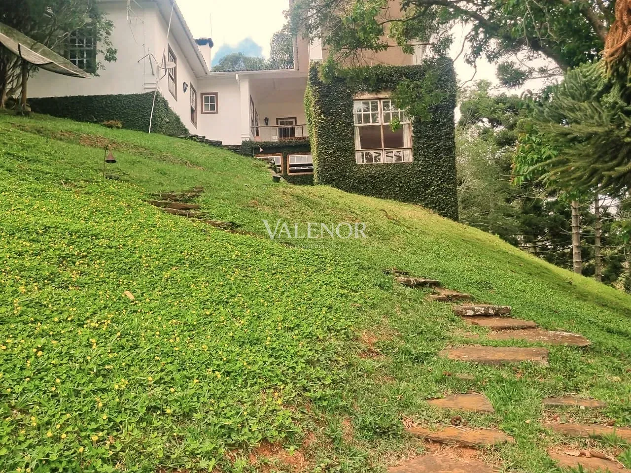 Fazenda, 235 hectares - Foto 12