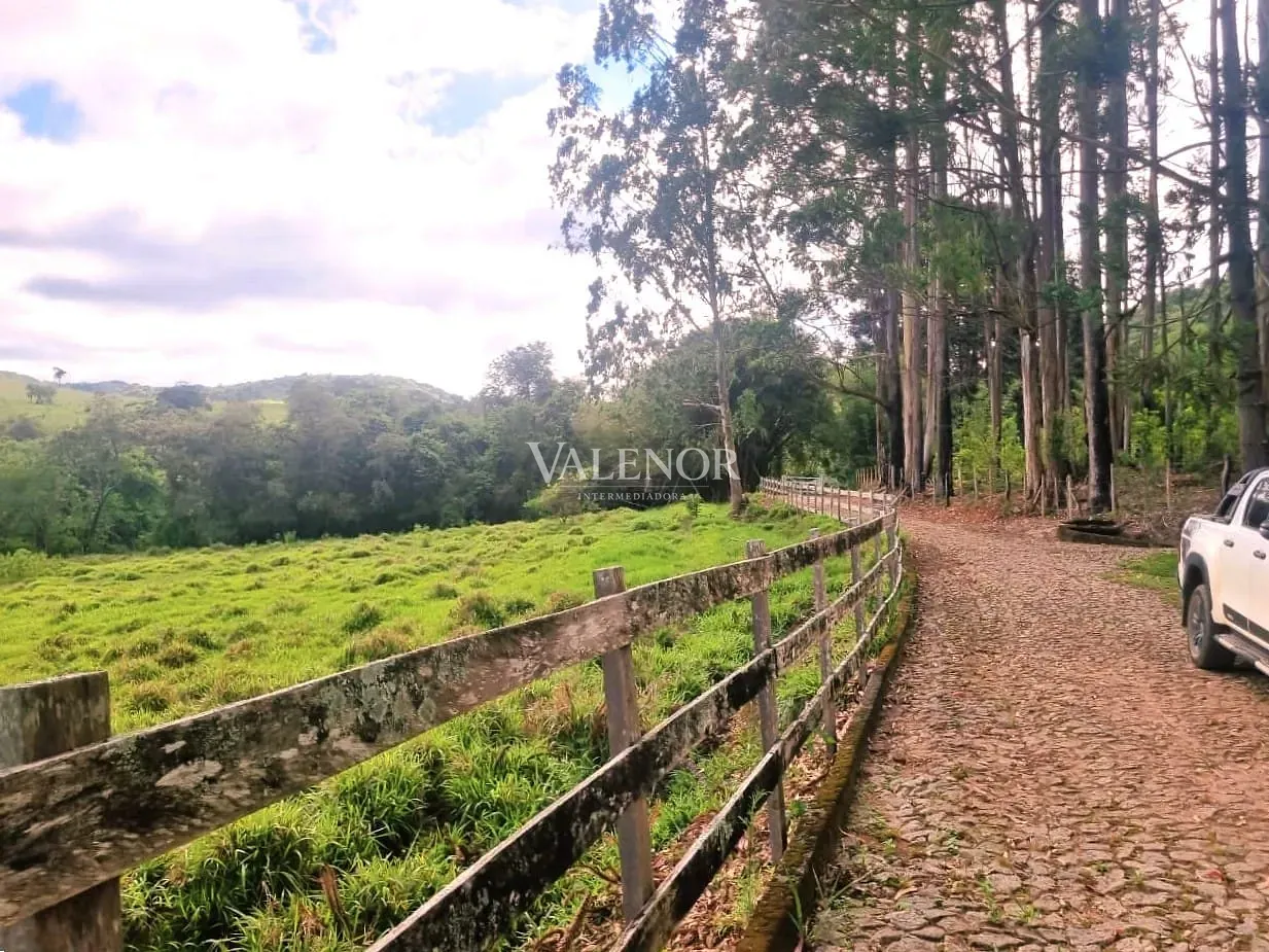 Fazenda, 235 hectares - Foto 25