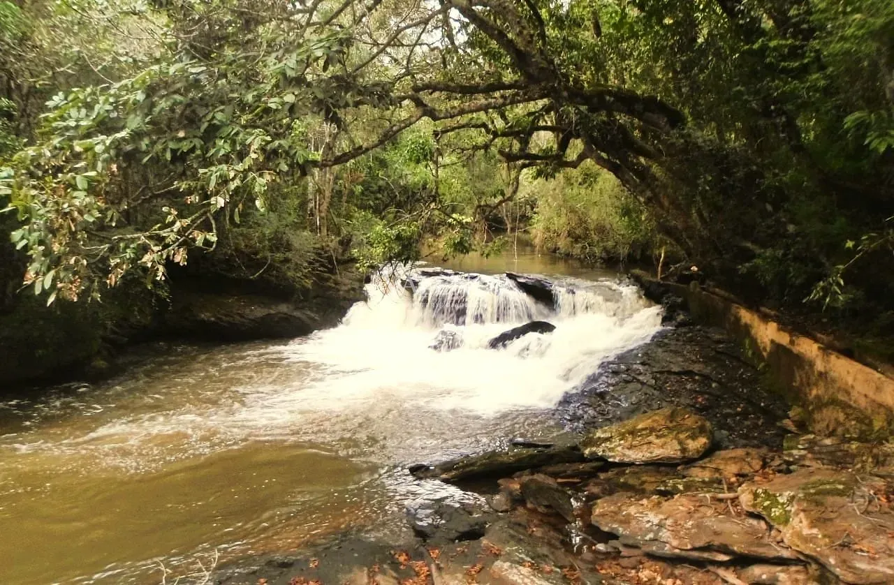 Fazenda, 235 hectares - Foto 32