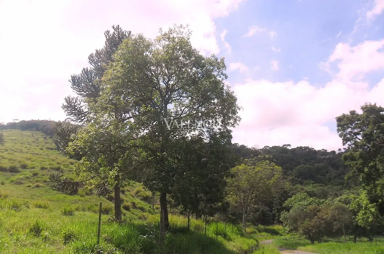 Fazenda, 235 hectares - Foto 26