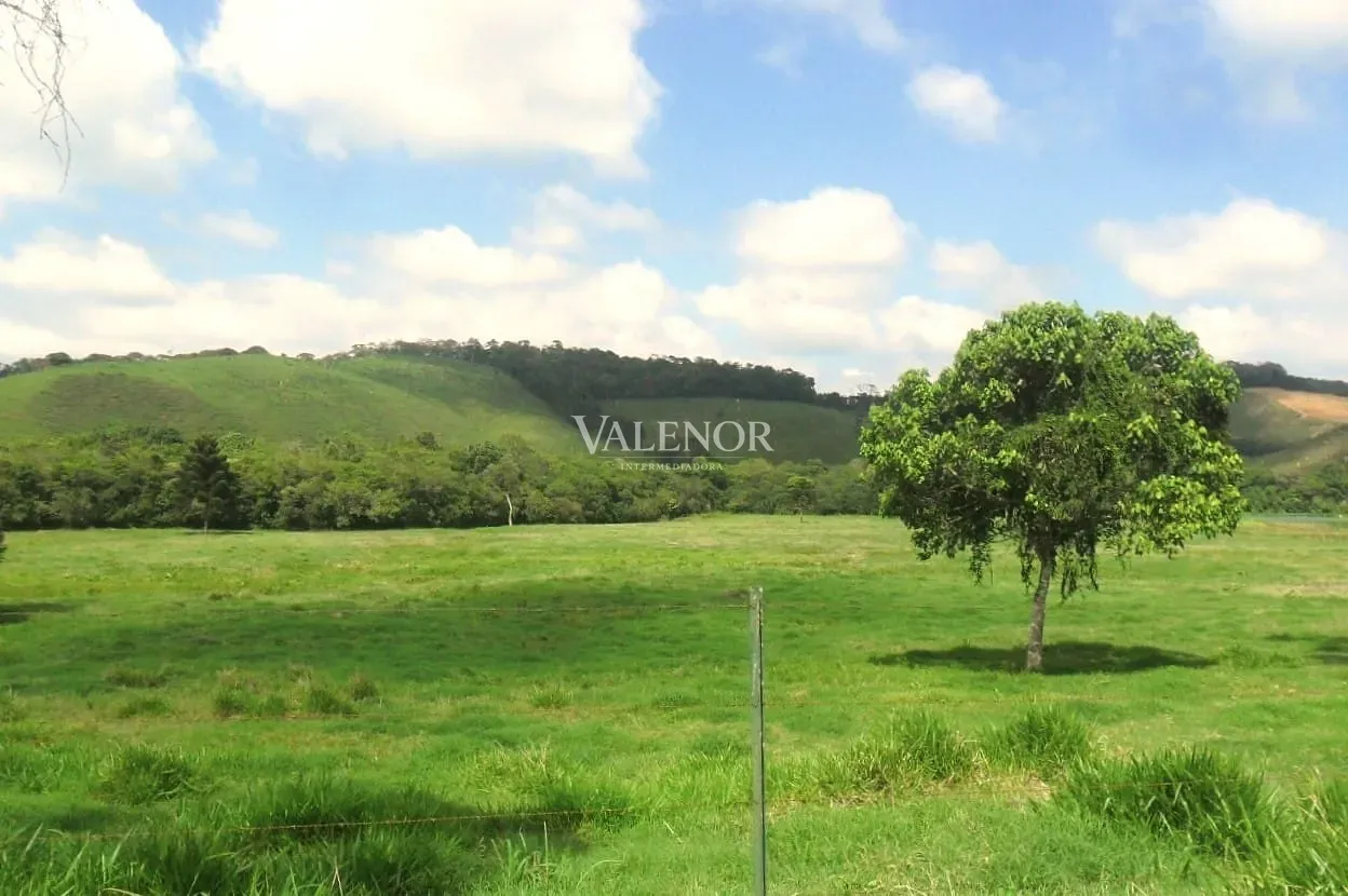 Fazenda, 235 hectares - Foto 27