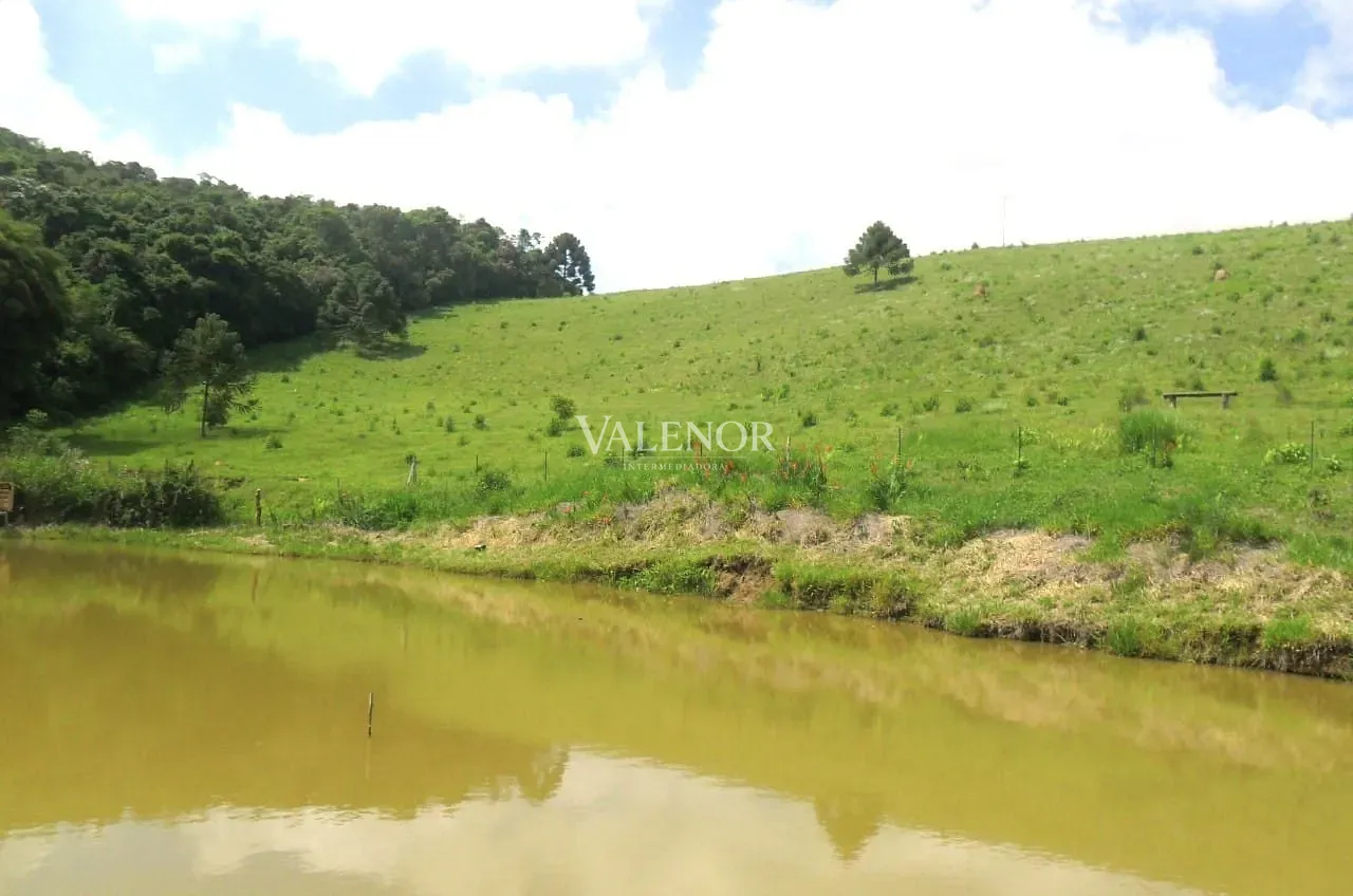 Fazenda, 235 hectares - Foto 29