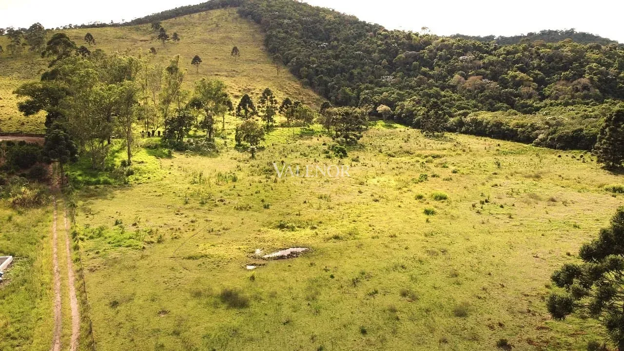 Fazenda, 235 hectares - Foto 30