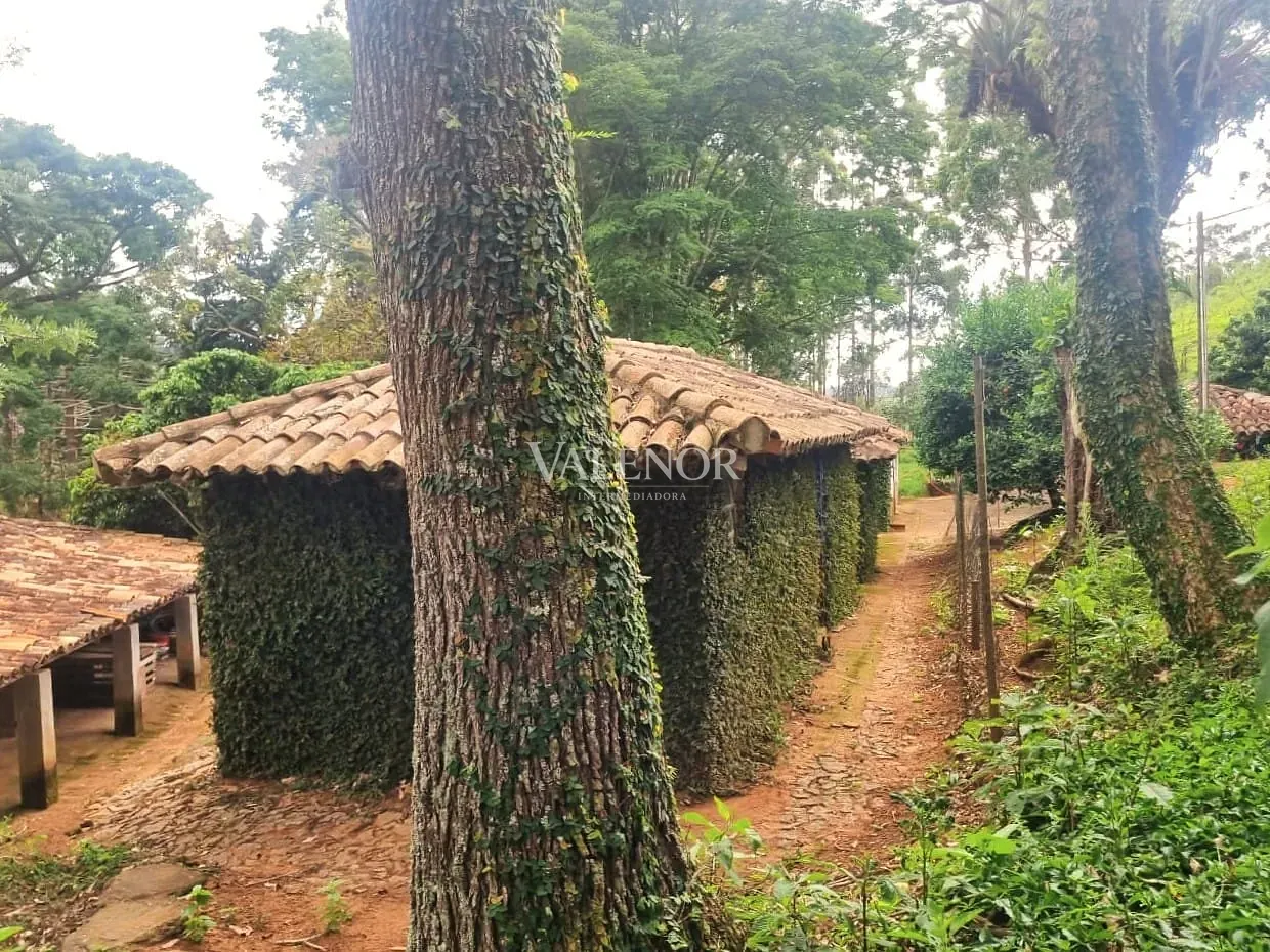 Fazenda, 235 hectares - Foto 16