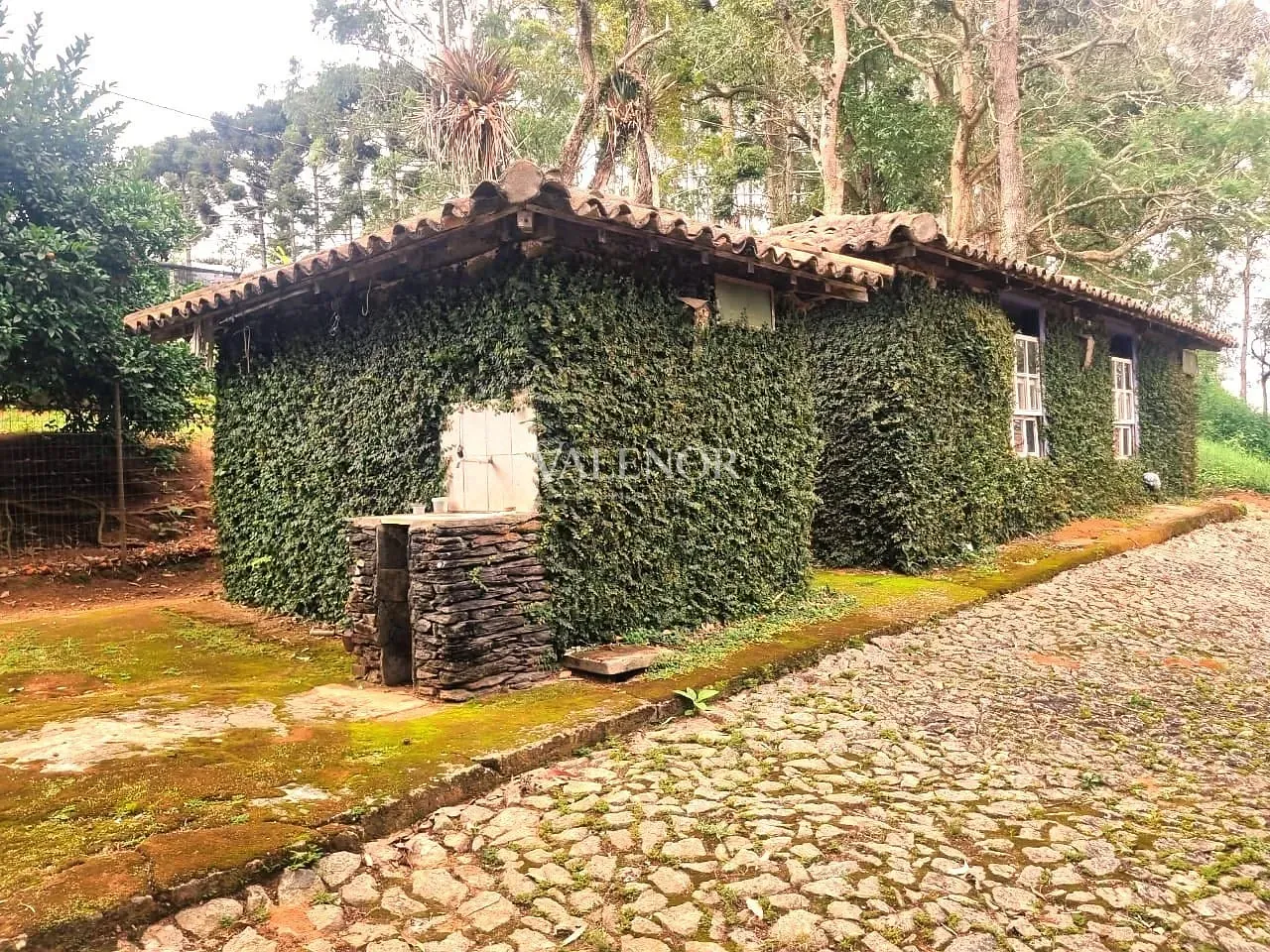 Fazenda, 235 hectares - Foto 14