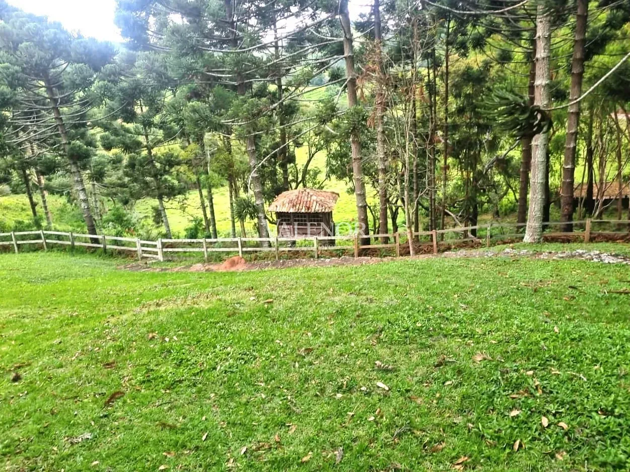 Fazenda, 235 hectares - Foto 31