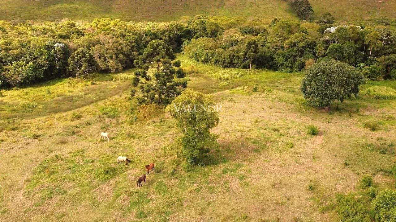 Fazenda, 235 hectares - Foto 33