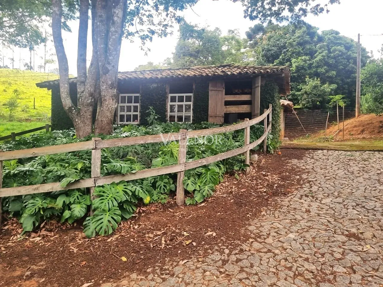 Fazenda, 235 hectares - Foto 15