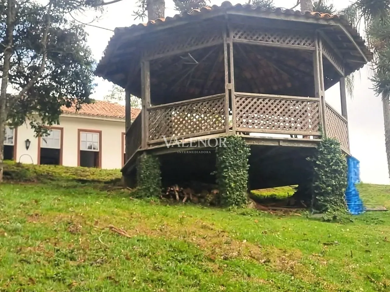 Fazenda, 235 hectares - Foto 13