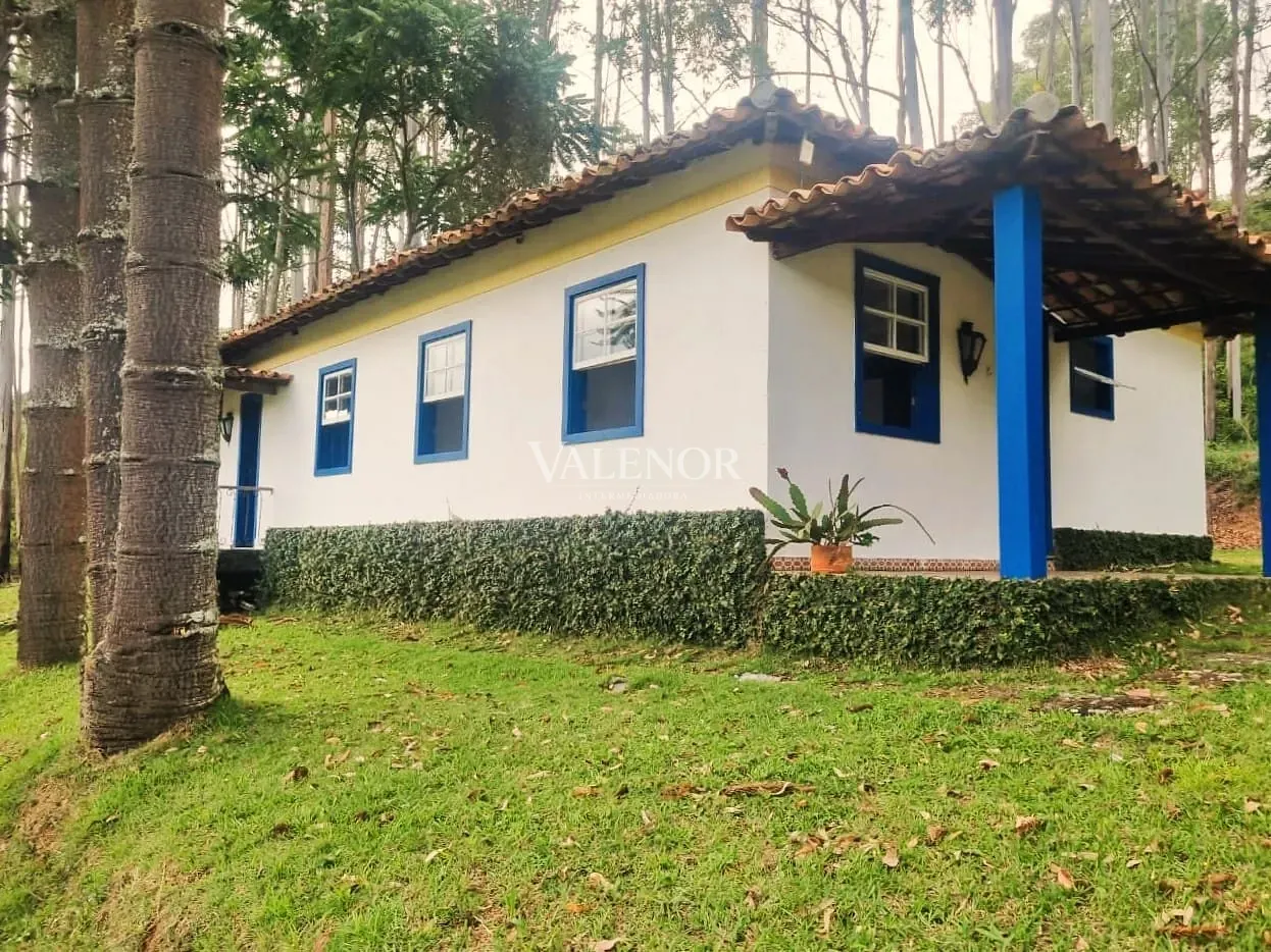 Fazenda, 235 hectares - Foto 10