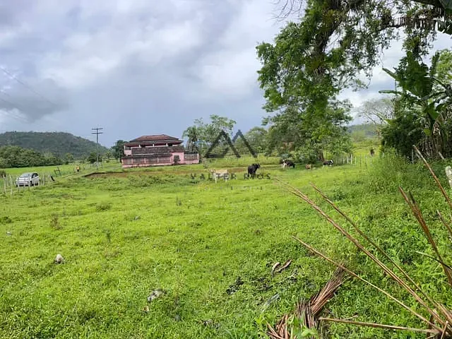 Fazenda com 220000m², à venda, no bairro UBAITABA em Ubaitaba
