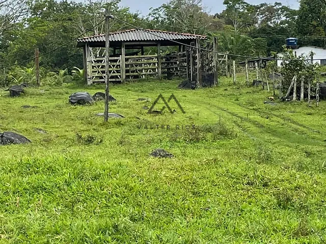 Fazenda com 220000m², à venda, no bairro UBAITABA em Ubaitaba