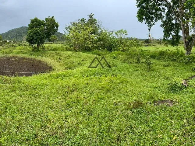 Fazenda com 220000m², à venda, no bairro UBAITABA em Ubaitaba