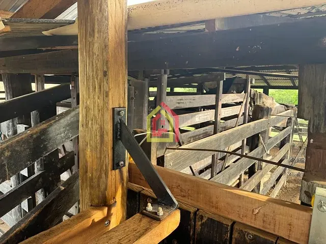 Fazenda com 2420000m², à venda, no bairro Zona Rural em Nova Ipixuna