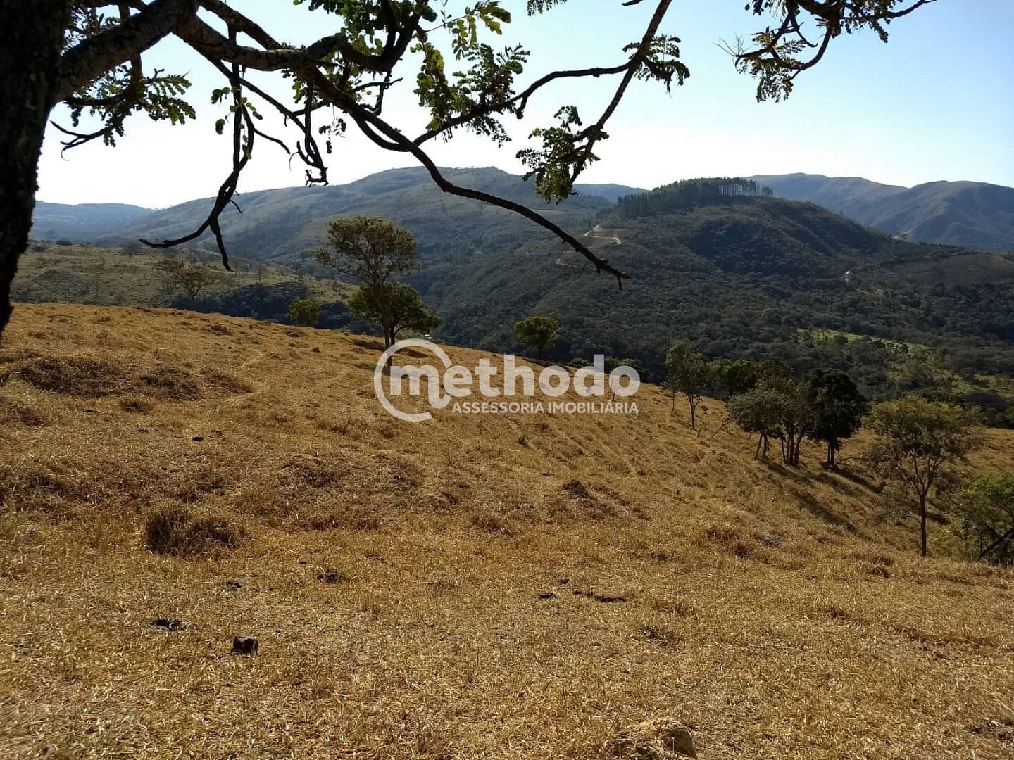 Fazenda, 116 hectares - Foto 23