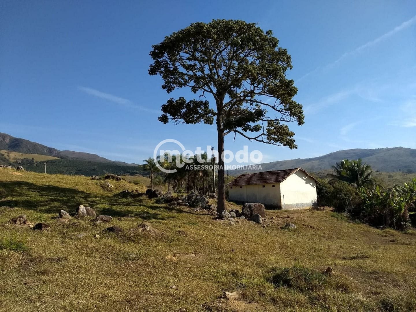 Fazenda, 116 hectares - Foto 9