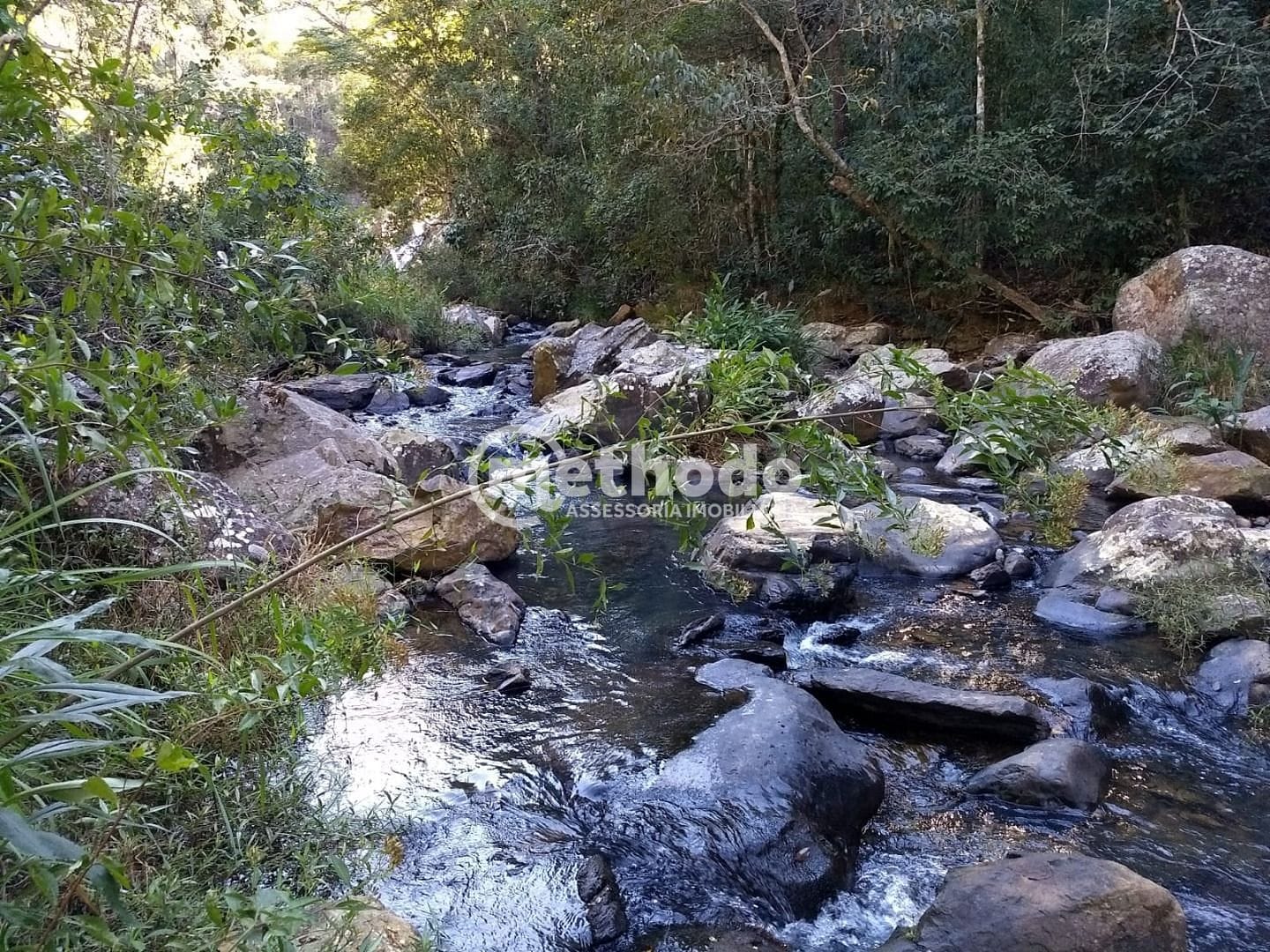 Fazenda, 116 hectares - Foto 26