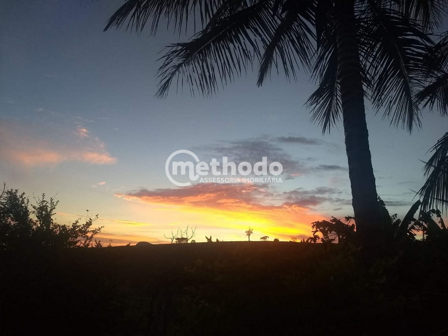 Fazenda, 116 hectares - Foto 4