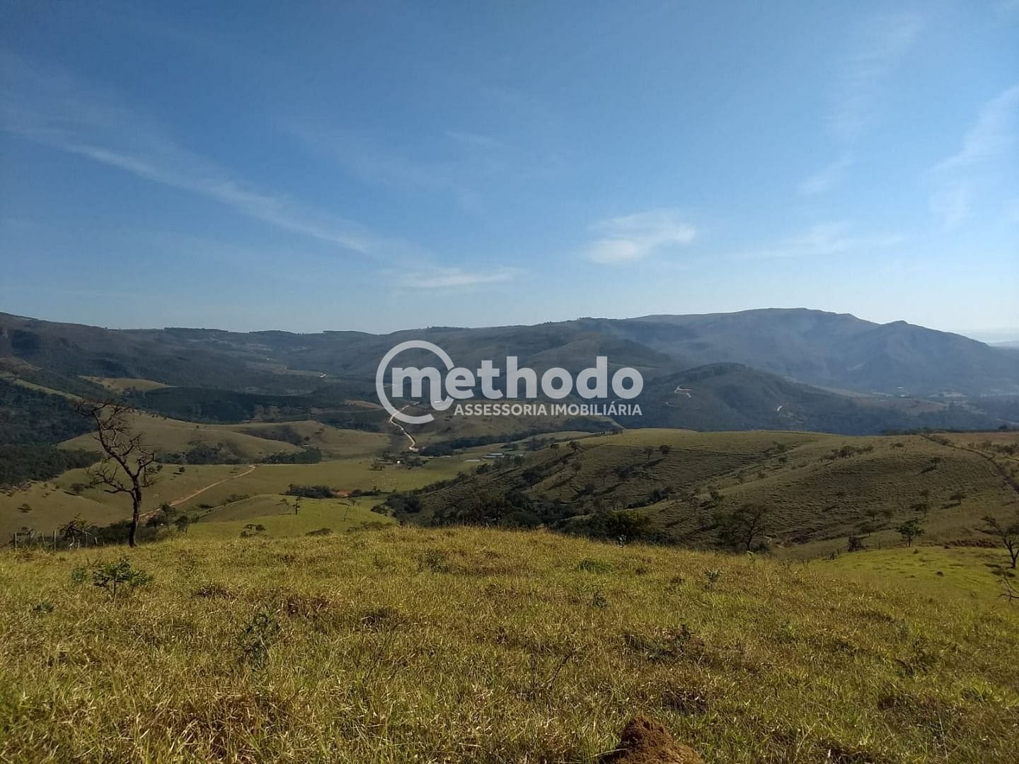 Fazenda, 116 hectares - Foto 7