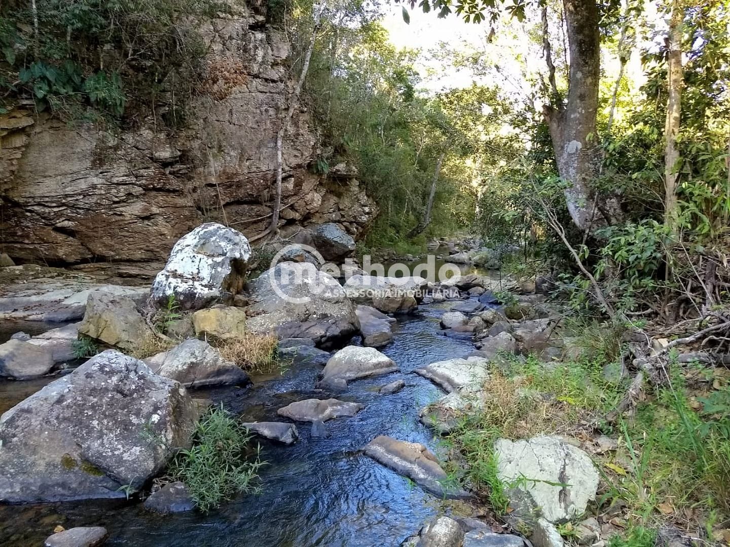 Fazenda, 116 hectares - Foto 27