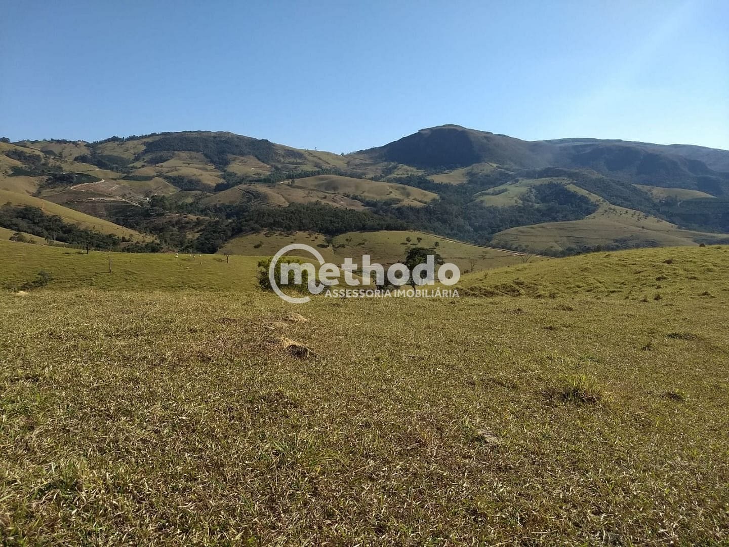 Fazenda, 116 hectares - Foto 8