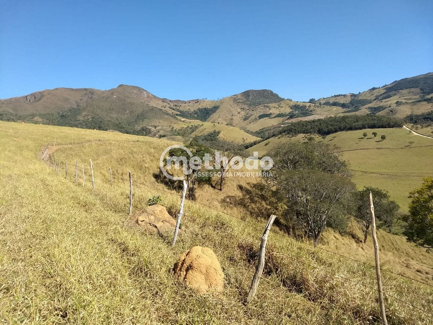 Fazenda, 116 hectares - Foto 12