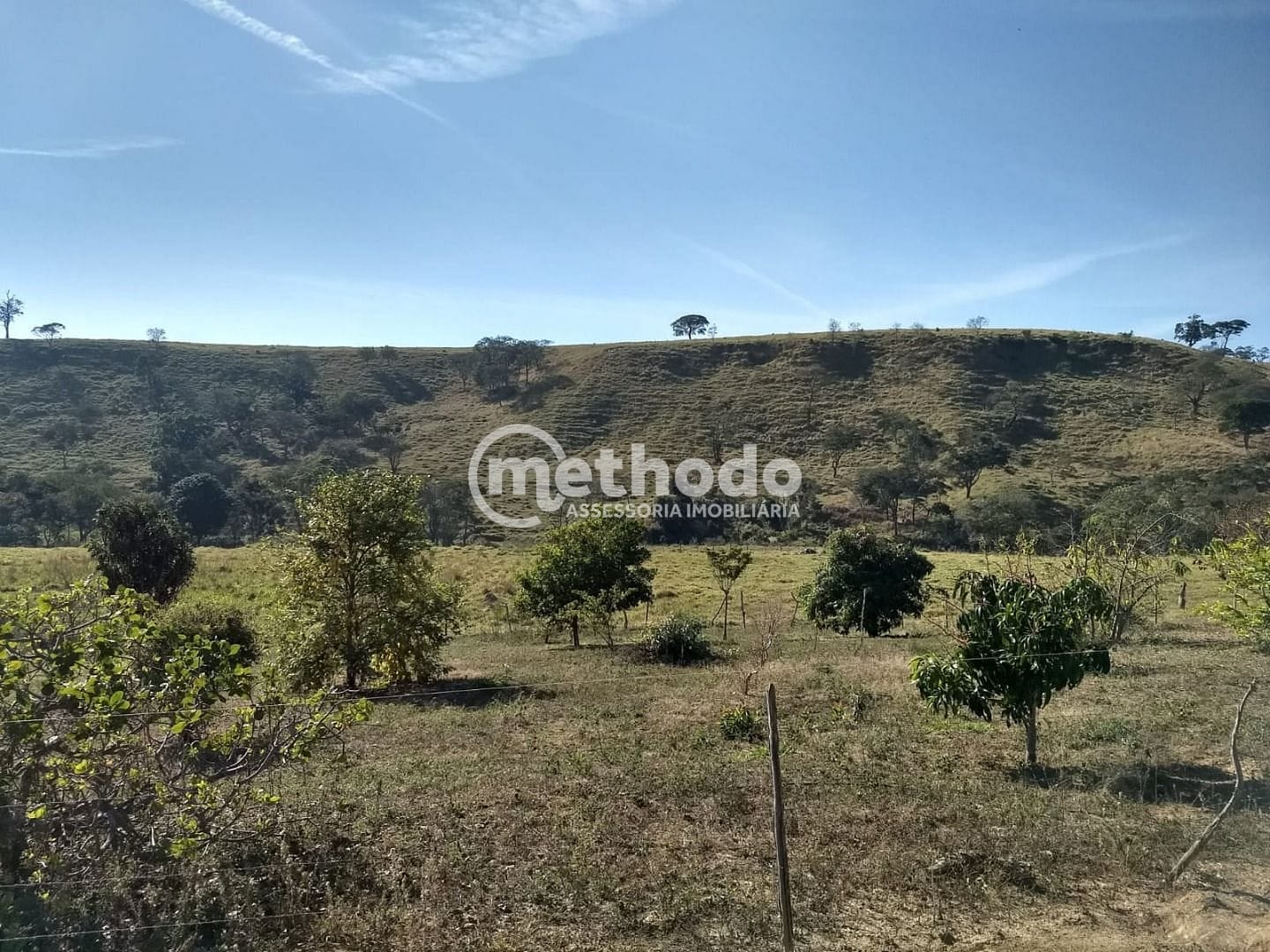 Fazenda, 116 hectares - Foto 15